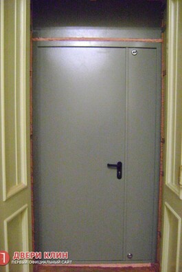 Металлическая дверь с фрамугами