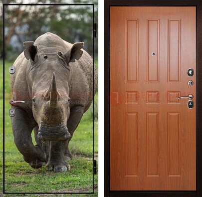 Металлическая дверь с фотопечатью носорога ДФ-31 в Архангельске
