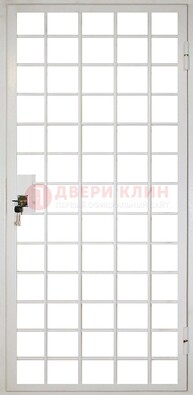Белая металлическая решетчатая дверь ДР-2 в Архангельске