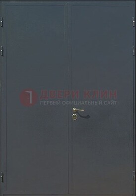 Двухстворчатая техническая дверь ДТ-5 в Архангельске